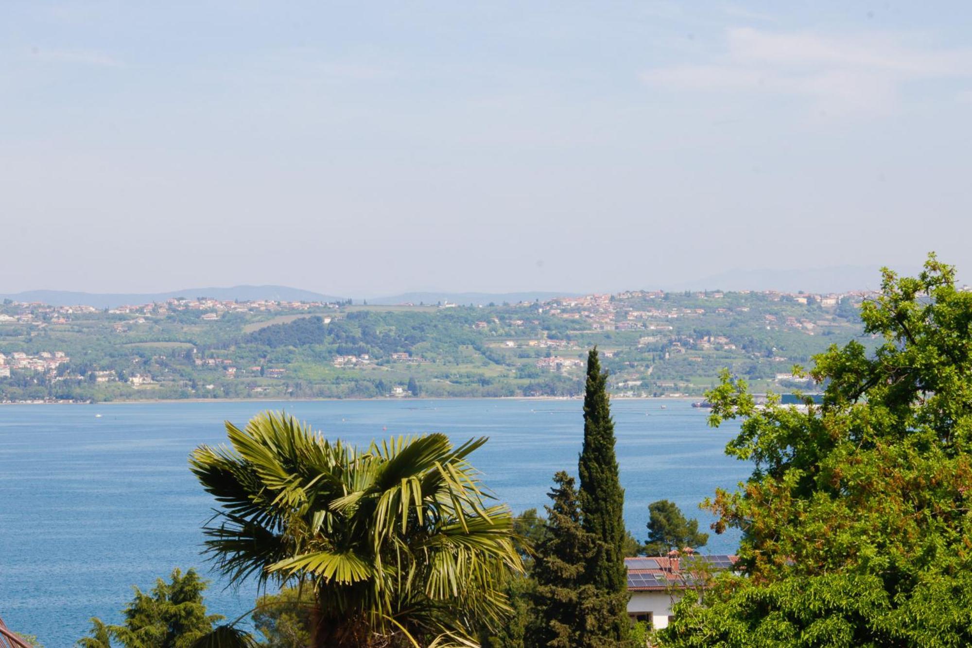 Bivalvia Apartments Koper városi község Kültér fotó